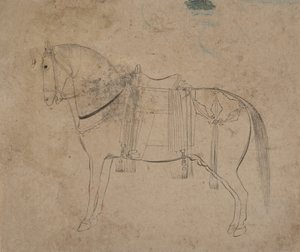 رسم تخطيطي لحصان ، أواخر القرن الثامن عشر. بواسطة غير معروف