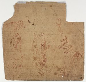 اسكتشات الخيول والفرسان المستقيمة ، اسكتشات الخيول مقابل ، القرن السابع عشر. بواسطة غير معروف