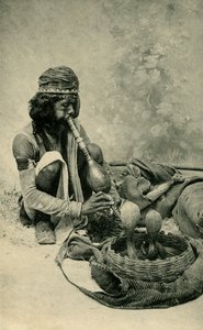 ساحر الثعابين. بواسطة غير معروف