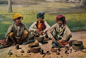 ثعبان تشارمرز ، c1910. بواسطة غير معروف