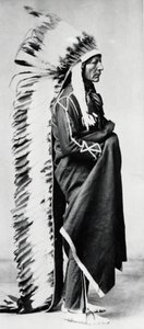 الدب الدائم ، رئيس داكوتا سيوكس ، هنود أمريكا الشمالية السهول ، c1885-c1890 بواسطة غير معروف