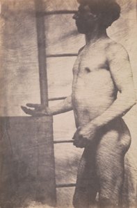 [يقف ذكر عارية] ، كاليفورنيا. 1856. بواسطة غير معروف
