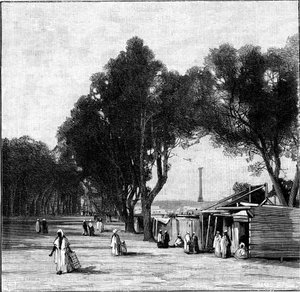 مشهد الشارع مع عمود بومبيز في المسافة ، الإسكندرية ، مصر ، 1900 بواسطة غير معروف
