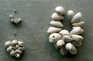 سلاسل قذائف Cowrie بواسطة غير معروف
