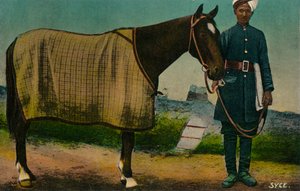 سيسي ، c1910 بواسطة غير معروف