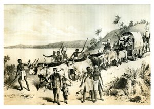 الوصول إلى بحيرة نغامي 1883 بواسطة غير معروف