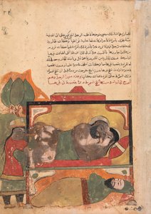 الشهود الزاهدون المرأة التي تحاول تسميم الحبيب ، فوليو من كليلة ... ، القرن الثامن عشر. بواسطة غير معروف