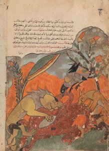 الهجوم على الجمل من قبل الأسد والغراب والذئب وابن آوى ، فوليو من كليلة ... ، القرن الثامن عشر. بواسطة غير معروف