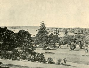 الحدائق النباتية في سيدني ، 1901. بواسطة غير معروف