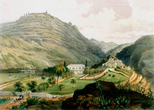 The Briars ، سانت هيلانة ، أوائل القرن التاسع عشر 1851 بواسطة غير معروف