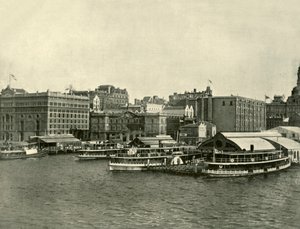 الرصيف الدائري ، سيدني ، 1901. بواسطة غير معروف
