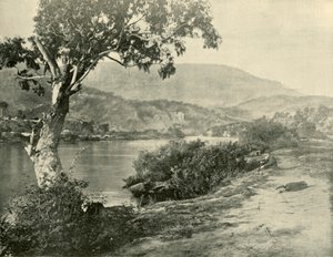 الديروينت في نيو نورفولك ، 1901. بواسطة غير معروف