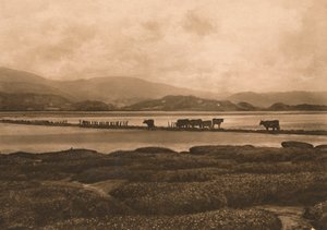 الدوفي في Ynyslas ، 1902 بواسطة غير معروف