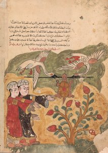 رحلة السلحفاة ، فوليو من كليلة ودمنة ، القرن الثامن عشر. بواسطة غير معروف