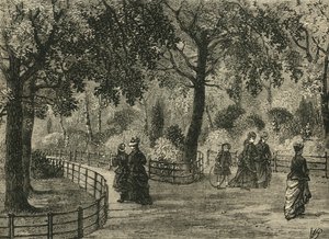 زهرة المشي ، حدائق كنسينغتون ، c1876. بواسطة غير معروف
