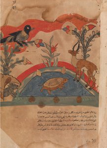 أصبح الغزال أصدقاء مع الغراب والفأر والسلحفاة ... ، القرن الثامن عشر. بواسطة غير معروف