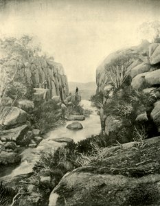 الممر ، بوفالو فولز ، جبال الألب الفيكتورية ، 1901. بواسطة غير معروف