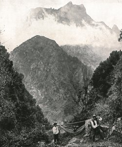 الكورال الكبير ، ماديرا ، البرتغال ، 1895. بواسطة غير معروف