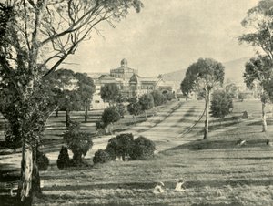 معرض هوبارت 1901. بواسطة غير معروف
