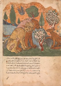 الملك الأسد ، مع والدته ، يستقبل دمنة ، فوليو من كليلة ودمنة ، القرن الثامن عشر. بواسطة غير معروف
