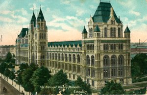 متحف التاريخ الوطني ، لندن ، c1910. بواسطة غير معروف