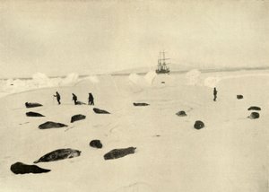 نمرود في نقطة برام في 4 مارس 1909 بواسطة غير معروف