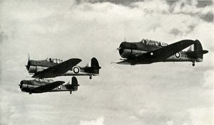 أمريكا الشمالية هارفارد ، 1941. بواسطة غير معروف
