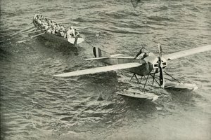 العودة إلى الحمامة إلى الفلك ، 1919. بواسطة غير معروف