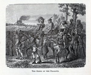 نهوض الفلاحين ، 1882 بواسطة غير معروف