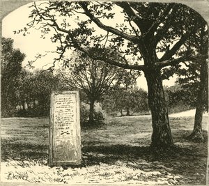 حجر روفوس في الغابة الجديدة ، 1890. بواسطة غير معروف