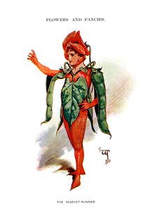 The Scarlet Runner ، 1899 بواسطة غير معروف