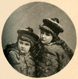 شجرة عيد الميلاد-الطيور-الطيور ، 1883. بواسطة غير معروف