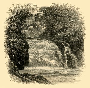 شلالات السنونو ، 1898. بواسطة غير معروف
