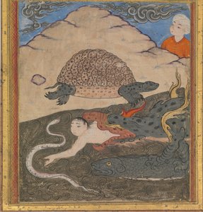 السلحفاة ، فوليو من عجائب الخلق لعجائب المخلوقات ... النصف الثاني من القرن السادس عشر. بواسطة غير معروف