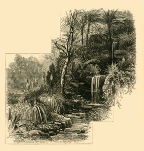 الحدائق الاستوائية ، باترسي بارك ، c1878. بواسطة غير معروف