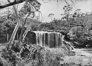 The Weeping Rock at Wentworth Falls، Blue Mountains، c1900. بواسطة غير معروف