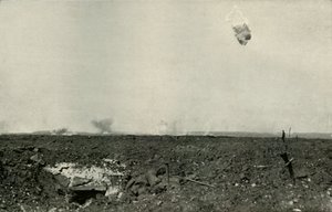 الدب الصوفي ، 1919. بواسطة غير معروف