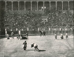 الجزء الداخلي من Bullring ، مدريد ، إسبانيا ، 1895. بواسطة غير معروف