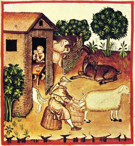 إنتاج الجبن. صورة مصغرة من Tacuinum Sanitatis ، النصف الثاني من القرن الرابع عشر. بواسطة غير معروف