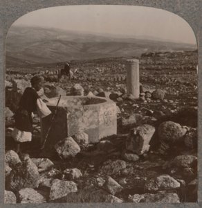 أنقاض تقوع ، c1900 بواسطة غير معروف