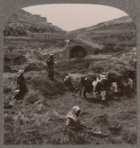 درس الحبوب بالقرب من بئر جاكوبس ، c1900 بواسطة غير معروف