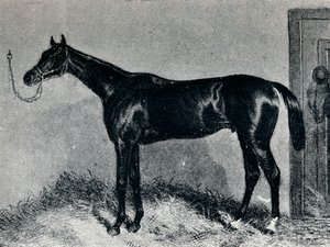 تيم ويفلر ، c1860s ، 1911 بواسطة غير معروف