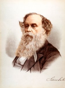 تيتوس سولت ، عامل دباغة وصناعي بريطاني ، c1880 بواسطة غير معروف