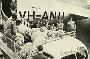 نقل جائزة الكباش جواً ، عام 1948. بواسطة غير معروف