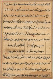 حكايات اسم توتي للببغاء ، ج. 1560. بواسطة غير معروف