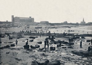 Tynemouth - حوض السمك والرمال ، 1895 بواسطة غير معروف