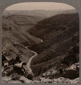 وادي أرنو ، الراعي والأغنام في المقدمة ، c1900 بواسطة غير معروف