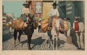 رجال الخضروات ، هافانا ، كوبا ، 1904 بواسطة غير معروف