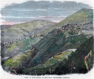 منظر لنيوكاسل ، في الجبال الزرقاء ، جامايكا ، c1880 بواسطة غير معروف