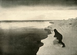 مشاهدة الأختام في Ice-Edge ، c1908 ، 1909. بواسطة غير معروف